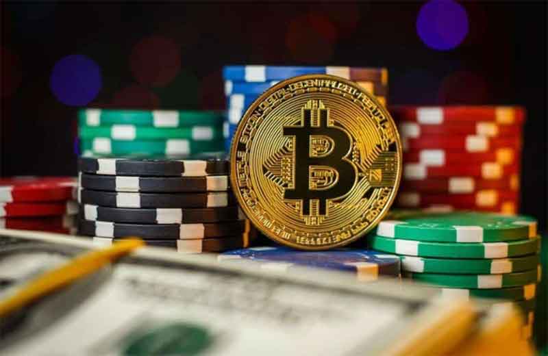 Top Casino Apps With Daily 17